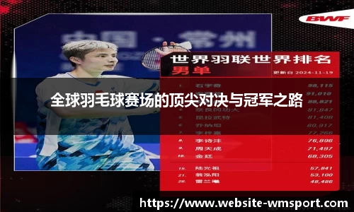 全球羽毛球赛场的顶尖对决与冠军之路