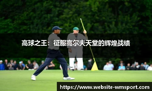 完美体育