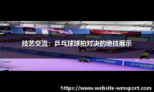 技艺交流：乒乓球球拍对决的绝技展示